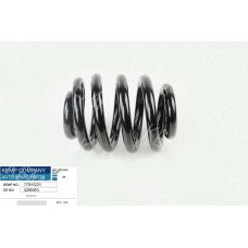 Пружина задняя VW Transporter T5 усиленная 22*248mm.