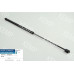 Амортизатор кришки багажника Ford Escort H-B 92-98 544-234mm 440N