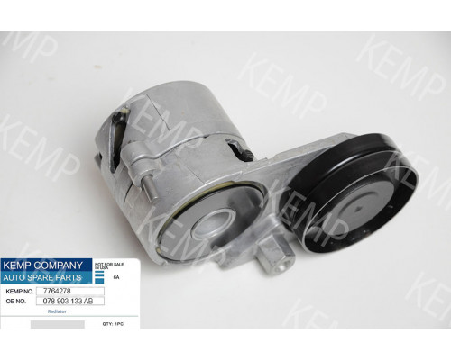 Ролик натягу генератора Audi-80 A4, A6 2,4 2,6-2,8 95-05р. (з кронштейном)