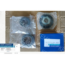 Подшипник зад.ступ.Fiat Ducato J5/C25 82-94  (комплект)