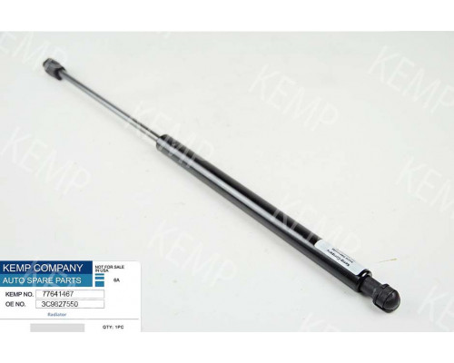 Амортизатор кришки багажника VW Passat B6 variant (2005 - 2010) 450-180-550N