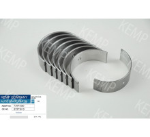 Вкладиші шатунні Ford 1.6-2.0 OHC +0.25