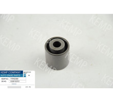 Ролик паразитний ремня ГРМ VW Audi 1.9 TDI 91-00г. (29*28.5)
