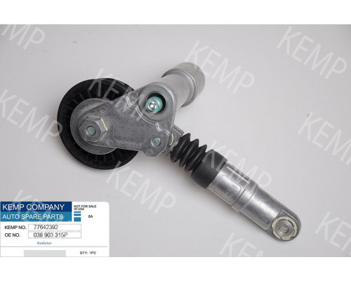 Ролик натяжний поліклинового ремня з механізмом VW Audi 1.9TDI 00-05г.