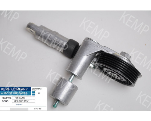 Ролик натяжний поліклинового ремня з механізмом VW Audi 1.9TDI 00-05г.
