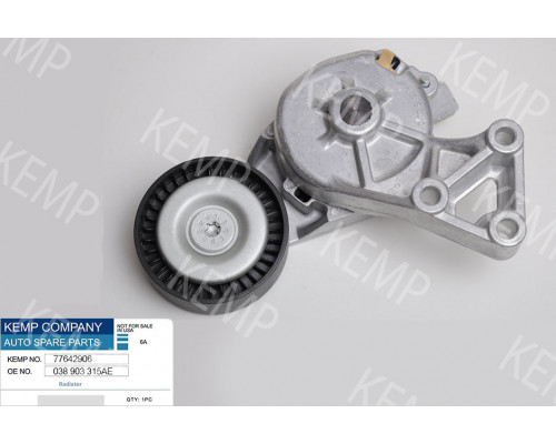 Ролик натяжний поліклінового ремня з механізмом VW Audi 1.9TDI 00-05г.