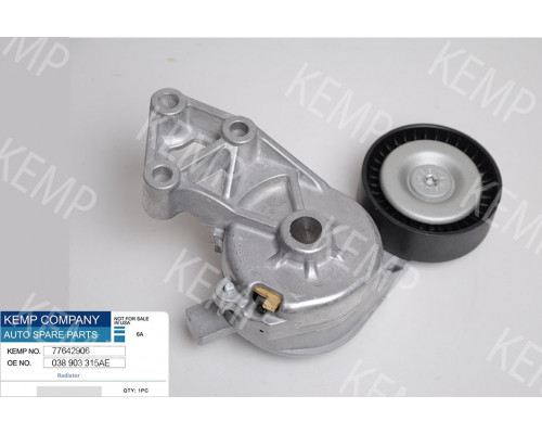 Ролик натяжний поліклінового ремня з механізмом VW Audi 1.9TDI 00-05г.