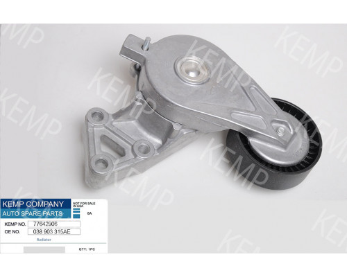 Ролик натяжний поліклінового ремня з механізмом VW Audi 1.9TDI 00-05г.