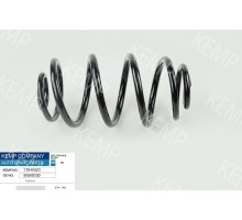 Пружина задня VW Passat B5 Variant Skoda SuperB 01-08  14.1*290mm.