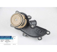 Термостат VW/Audi A6 A7 A8 3.2 FSI 05-08
