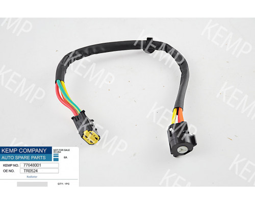 Контактна група замка запалювання Renault  Dacia 06-> (4 конт.)(Y)
