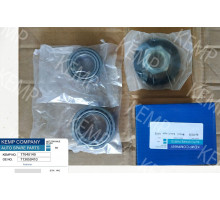 Підшипник зад.ступ.Fiat Ducato J5/C25 82-94  (комплект)