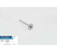 Клапан випускний VW/Audi  (1 шт.)